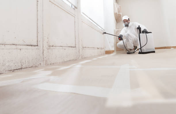 24/7 Emergency Mold Removal experts in Rumson, NJ